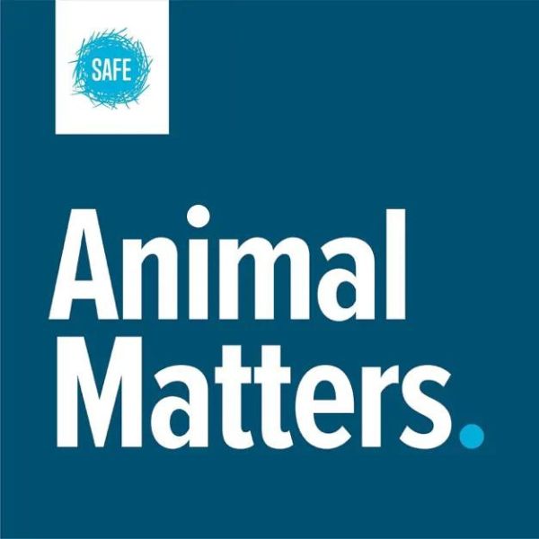 Animal Matters.